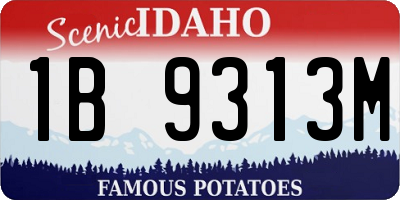 ID license plate 1B9313M