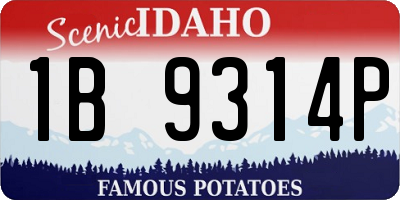 ID license plate 1B9314P