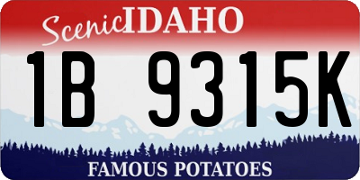 ID license plate 1B9315K