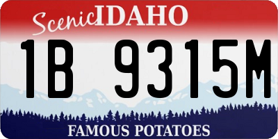 ID license plate 1B9315M