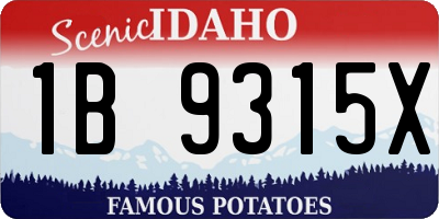 ID license plate 1B9315X