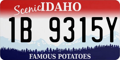 ID license plate 1B9315Y