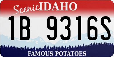 ID license plate 1B9316S