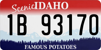 ID license plate 1B9317O
