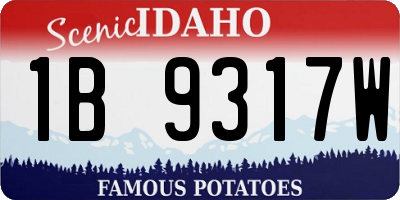 ID license plate 1B9317W