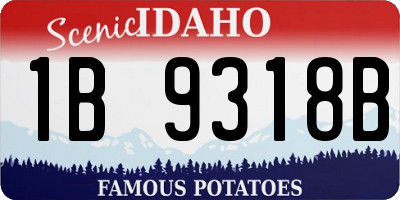 ID license plate 1B9318B