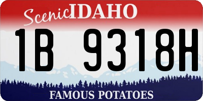 ID license plate 1B9318H