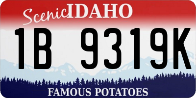 ID license plate 1B9319K