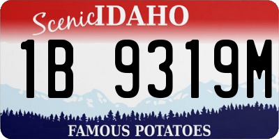 ID license plate 1B9319M