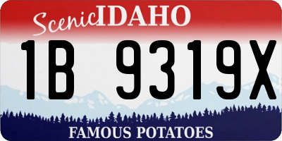ID license plate 1B9319X