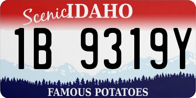ID license plate 1B9319Y