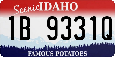 ID license plate 1B9331Q