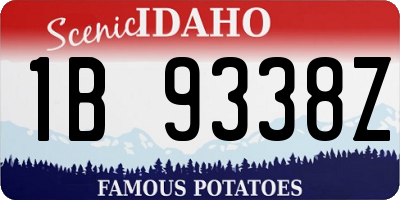 ID license plate 1B9338Z