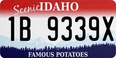 ID license plate 1B9339X