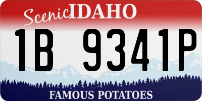 ID license plate 1B9341P
