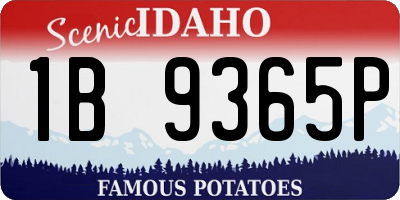 ID license plate 1B9365P
