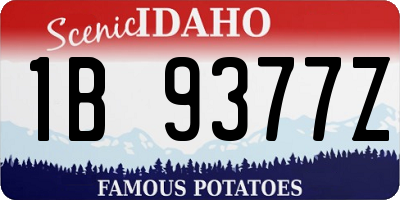 ID license plate 1B9377Z
