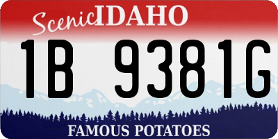 ID license plate 1B9381G