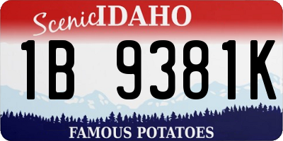 ID license plate 1B9381K