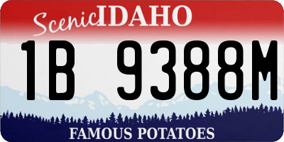 ID license plate 1B9388M