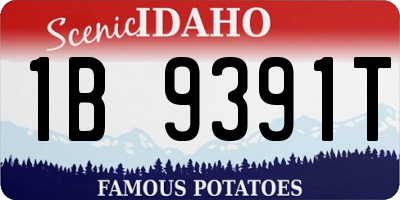 ID license plate 1B9391T