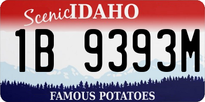 ID license plate 1B9393M