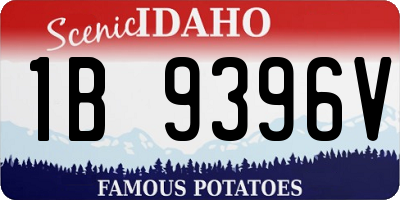 ID license plate 1B9396V