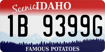 ID license plate 1B9399G