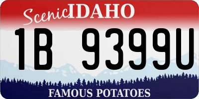 ID license plate 1B9399U