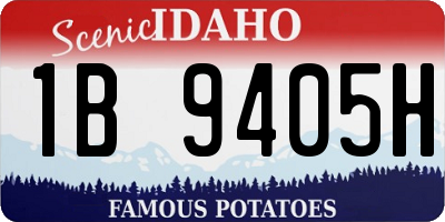 ID license plate 1B9405H