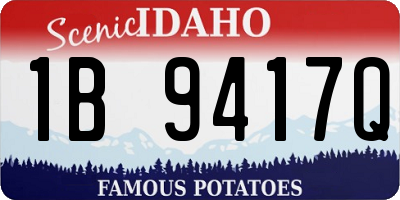 ID license plate 1B9417Q
