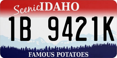 ID license plate 1B9421K