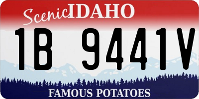 ID license plate 1B9441V