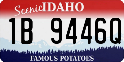 ID license plate 1B9446Q