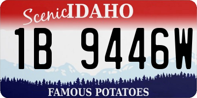 ID license plate 1B9446W