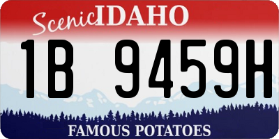 ID license plate 1B9459H