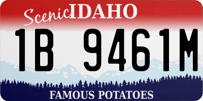 ID license plate 1B9461M