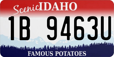 ID license plate 1B9463U
