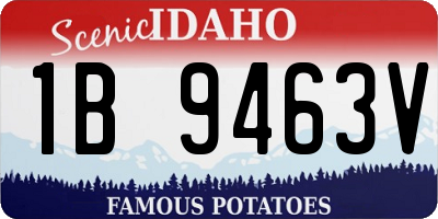 ID license plate 1B9463V
