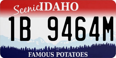 ID license plate 1B9464M