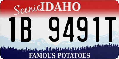ID license plate 1B9491T