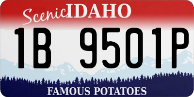 ID license plate 1B9501P