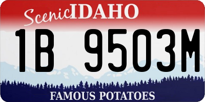 ID license plate 1B9503M