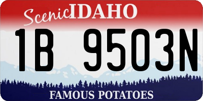 ID license plate 1B9503N
