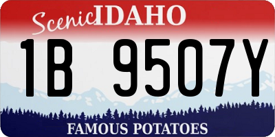 ID license plate 1B9507Y