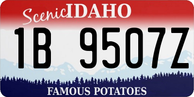 ID license plate 1B9507Z