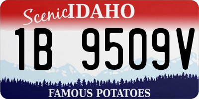 ID license plate 1B9509V
