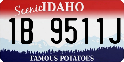 ID license plate 1B9511J