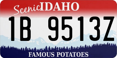 ID license plate 1B9513Z