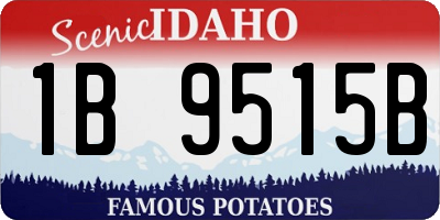 ID license plate 1B9515B